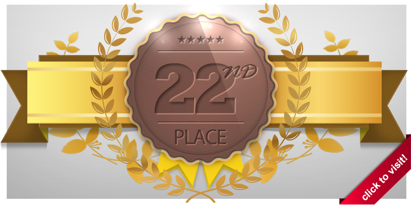 SynerSpect Internet Marketing  |  Search Engine Optimization: Local Mobile Video Social Media